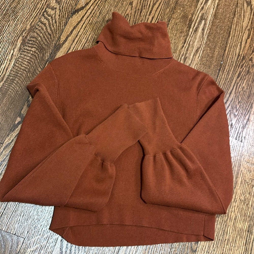 Wilfred Rebecca Turtleneck Aritzia